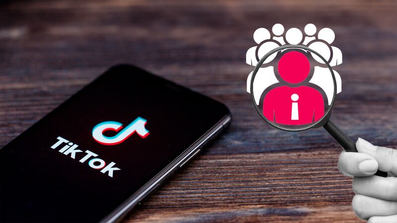 TikTok ‘hace las paces’... ¿con Morena? Revisará que cuentas no sean usadas en guerra sucia electoral