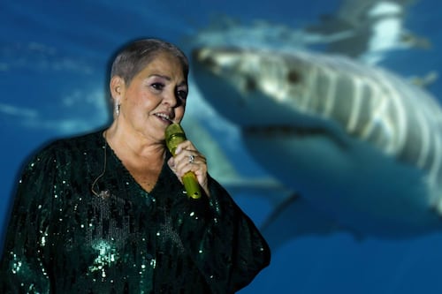 ‘Tenía la pierna llena de sangre’: Nieto de Lupita D’Alessio sufre ataque de tiburón