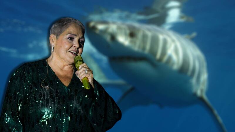 ‘Tenía la pierna llena de sangre’: Nieto de Lupita D’Alessio sufre ataque de tiburón