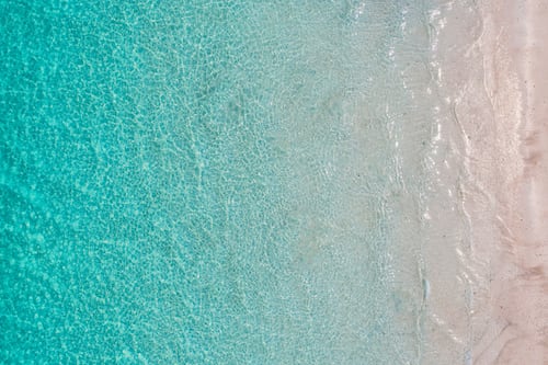 Cultivo con agua de mar, ¿solución sostenible para la agricultura?