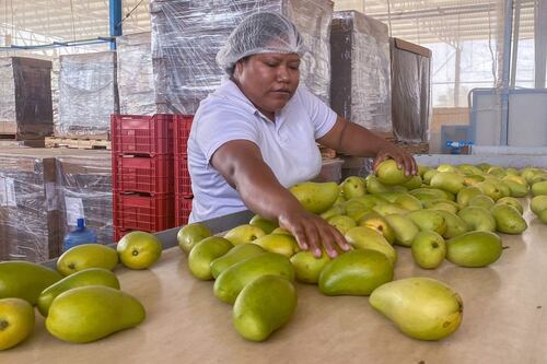 Precios al productor se ubican en 3.77% en julio, su mayor nivel desde abril de 2019