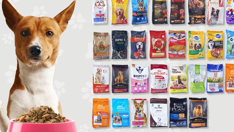 Croquetas para perro: Estas 7 marcas mienten sobre su contenido nutrimental, según la Profeco
