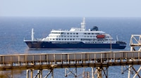 ¿Qué es el hantavirus y cuáles son sus síntomas? OMS no descarta contagio humano a humano en crucero
