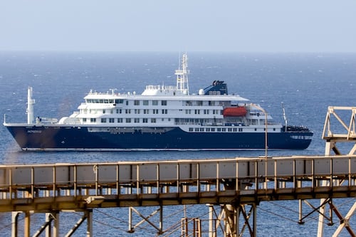 ¿Qué es el hantavirus y cuáles son sus síntomas? OMS confirma hubo contagio humano a humano en crucero