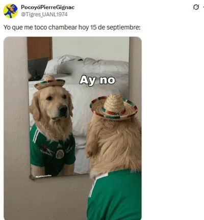 Los mejores memes del 15 de septiembre y las fiestas patrias. (Foto: Captura)