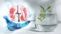 ¿El agua de romero tiene beneficios en los riñones?