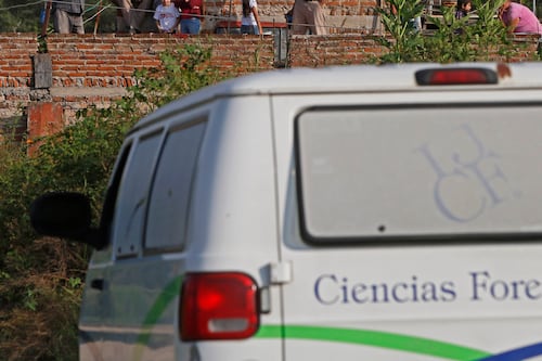Gobierno difunde registro de cadáveres sin identificar en Jalisco