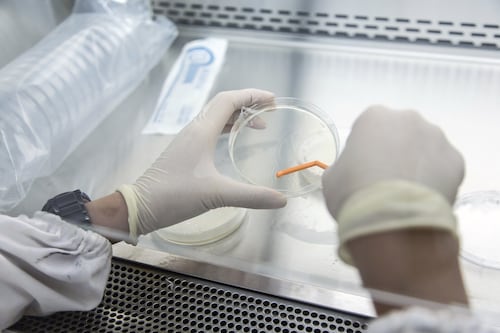 ¿Qué sabemos sobre la misteriosa ‘enfermedad X’ que investigan médicos en el Congo?