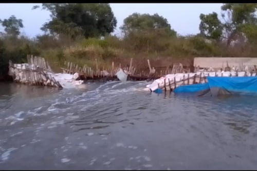 Señalan falta de agua y abandono de los servicios en Tampico
