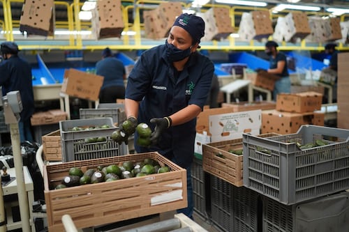 Desafíos económicos de México 2025