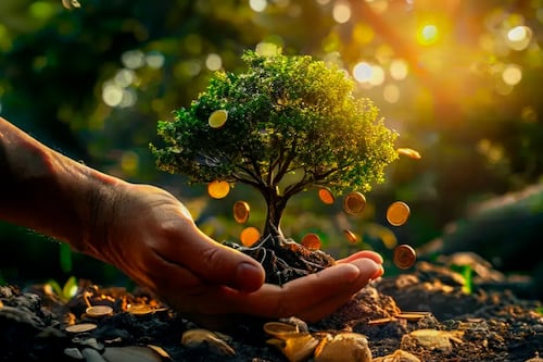 XXI Banorte asigna 80 mil mdp a inversiones sustentables