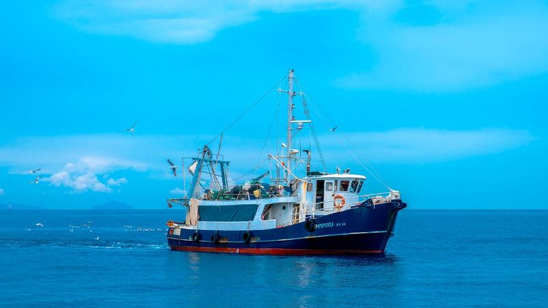 ¡Pleito a la vista! EU cierra puertos a pescadores mexicanos