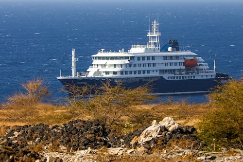 Brote de hantavirus en crucero en el Atlántico: ¿Qué sabemos de los pacientes?