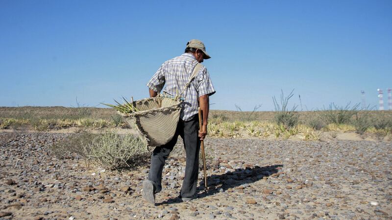 Los peligros económicos de El Niño y La Niña