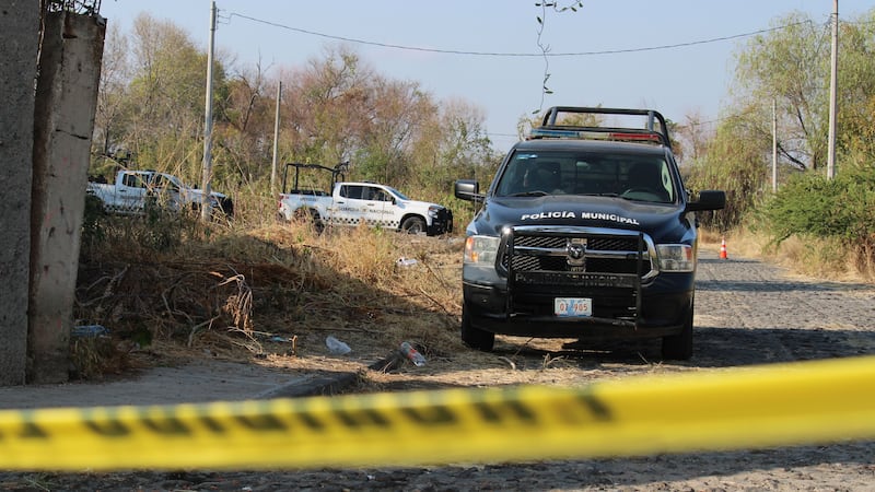 Terror en Guanajuato: Hallan ocho cadáveres en zona de influencia del Cártel de Saanta Rosa de Lima