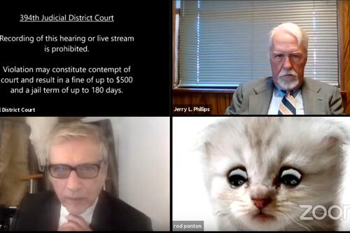 'Estoy aquí, no soy un gato': zoom de audiencia judicial 'da un respiro' a un mundo cansado de la pandemia