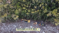 Tren Maya podría violar T-MEC, advierte Estados Unidos