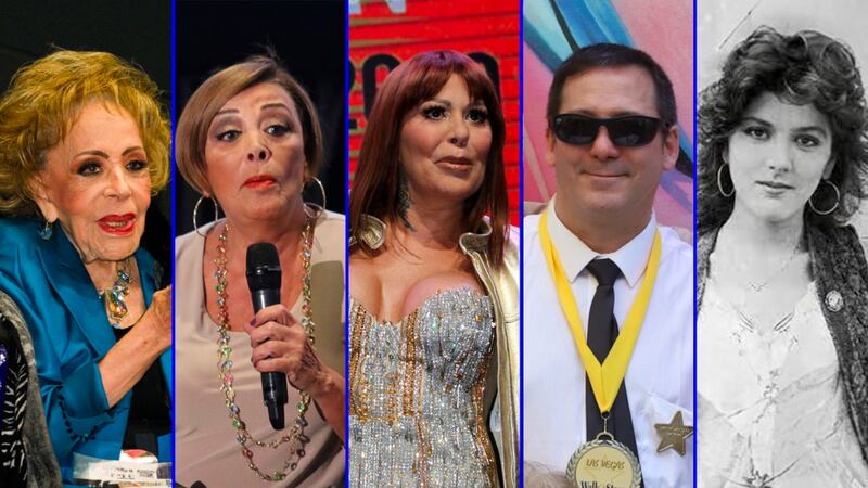 ¿Quiénes son los hijos de Silvia Pinal?