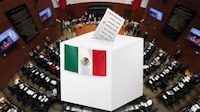 Senado aprueba reforma contra la doble nacionalidad para candidatos: ¿A qué cargos aplica?