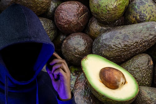 Extorsión ‘le quita brillo’ al aguacate de cara al Super Bowl: Calculan hasta 5% menos de su valor
