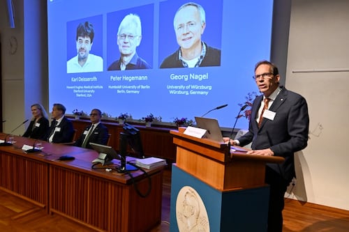 Nobel muy ‘Inception’: Premian a 3 científicos por optogenética que explica cómo se crean los recuerdos