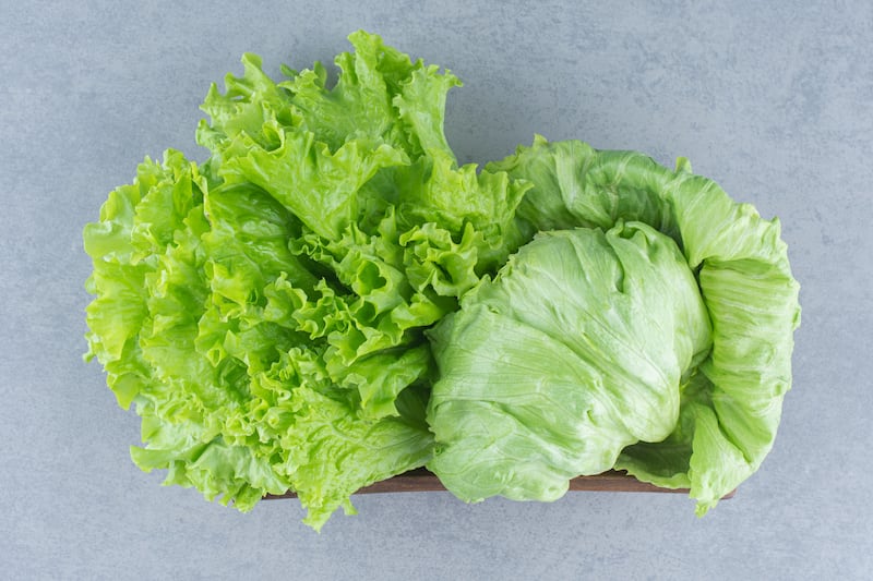 Casos de diarrea explosiva: ¿Qué partes quitarle a tu lechuga por si las ‘flais’?