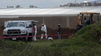 Identifican 18 cuerpos en la fosa clandestina más grande de Jalisco; suman 223 bolsas encontradas