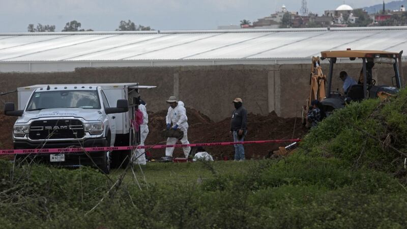 Identifican 18 cuerpos en la fosa clandestina más grande de Jalisco; suman 223 bolsas encontradas