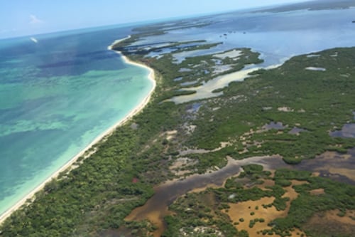 Semarnat abre controversia constitucional contra centro urbano en Holbox