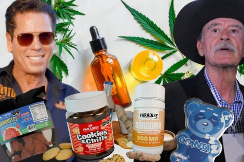 Con cúrcuma o manguitos: ¿Cuánto cuesta Paradise, marca de Vicente Fox y Palazuelos en conflicto con Cofepris?