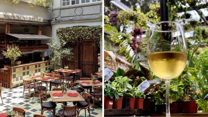 Bares al aire libre con drinks muy ricos en la CDMX