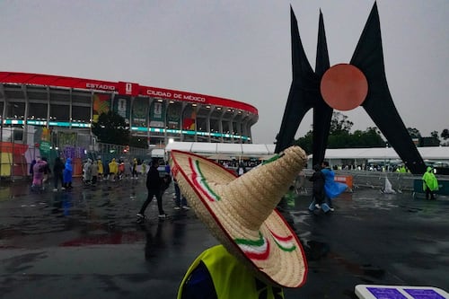 La opinión pública y el Mundial
