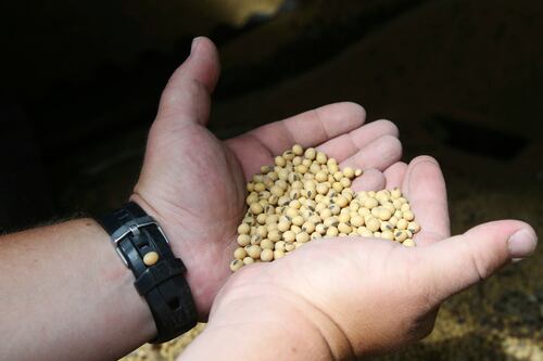 China exime a soya y cerdo de EU de aumento arancelario