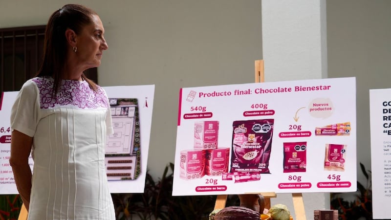¿Chocolate Bienestar a Europa? Sheinbaum propone exportar cacao de pequeños productores