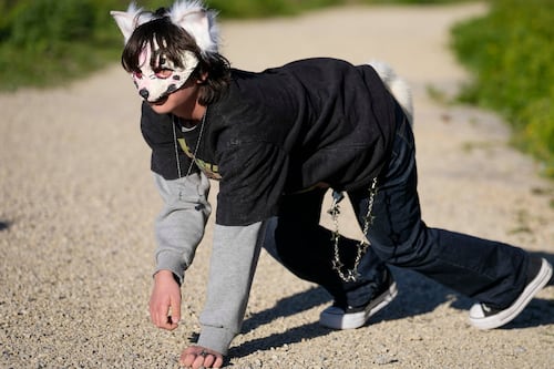 Therians llegan a Europa: Jóvenes identificados con animales se reunirán en Barcelona, España