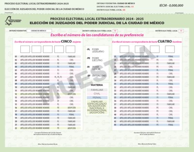 Las papeletas a elecciones de jueces en la CDMX son las que más incluirán candidatos.