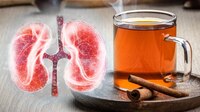 ¿El té de canela ayuda o perjudica a los riñones?