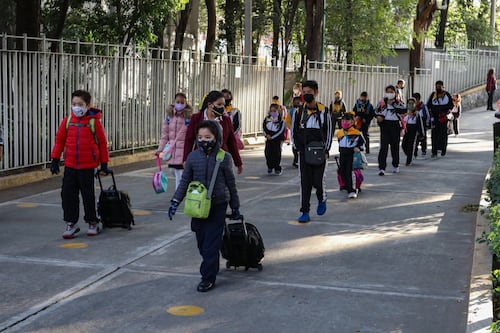 Ciclo escolar 2022-2023: ¿Cómo descargar certificados de primaria y secundaria?