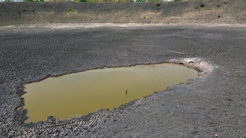A favor del cafecito y el chocolate: Indígenas de Oaxaca crean sistema para captar agua de lluvia
