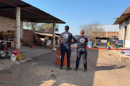 ¿Nació un volcán en Michoacán? Expertos de la UNAM revelan qué pasó realmente