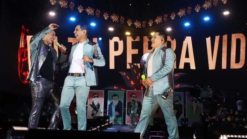 En tu perra vida: Agente canina ayuda en captura de 3 jóvenes en concierto de Grupo Firme