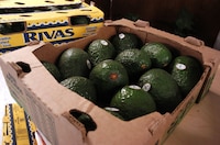 Este aguacate no salió bueno: EU suspende importaciones desde Michoacán por inseguridad