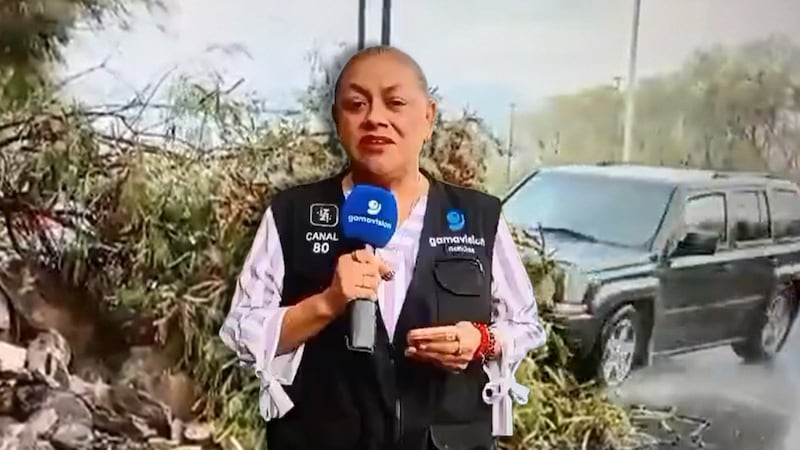 Reportera es atropellada EN VIVO en NL: ¿Qué le pasó?