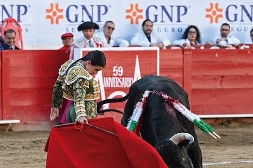 Toros y más toros