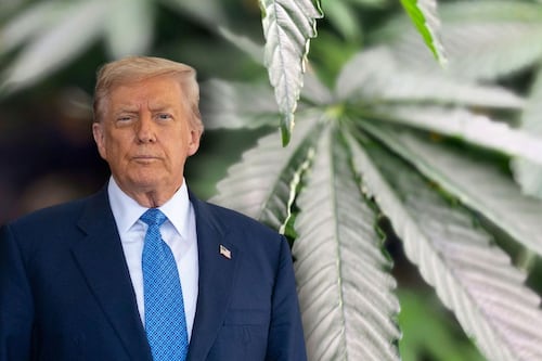 Trump firma orden para reclasificar la mariguana como una droga menos peligrosa