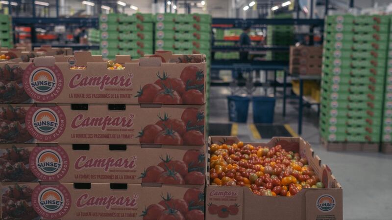 LatAm liderará desaceleración de inflación en 2023; precios al productor ‘caen como piedra’