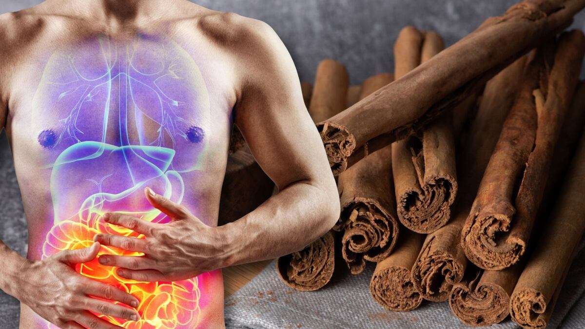 ¿Cuál es el efecto del té de canela en el estómago? – El Financiero
