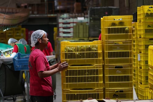 Van 23 meses de caídas en los registros patronales