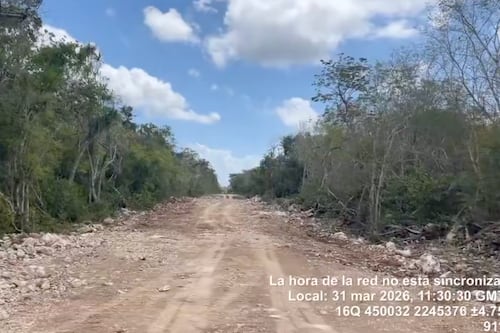 Sélvame MX alerta por obras en zona protegida de Tulum; advierte riesgo para ríos subterráneos