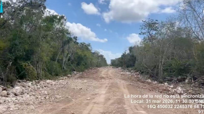 Sélvame MX alerta por obras en zona protegida de Tulum; advierte riesgo para ríos subterráneos